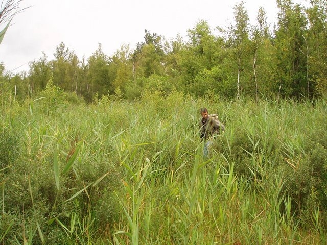 2007 07 Marais du Cerisaie 16